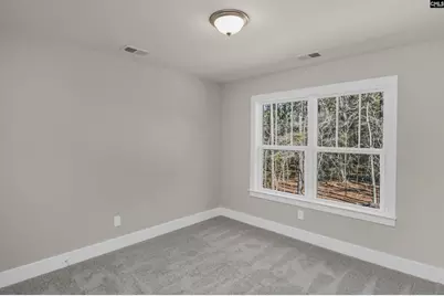 111 Greengarden Drive, Chapin, SC 29036 - Photo 43