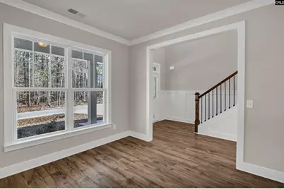 119 Greengarden Drive, Chapin, SC 29036 - Photo 9