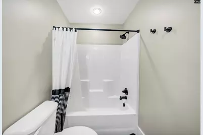 338 Andrew Corley Road, Lexington, SC 29072 - Photo 21