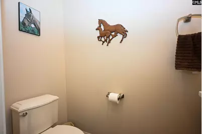 225 Pisgah Court, Lexington, SC 29072 - Photo 25