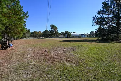 225 Pisgah Court, Lexington, SC 29072 - Photo 61