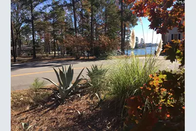 514 Shadowood Drive, Irmo, SC 29063 - Photo 5