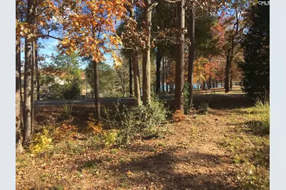 514 Shadowood Drive, Irmo, SC 29063 - Photo 7