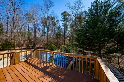 149 Seven Drive, Chapin, SC 29036 - Photo 27