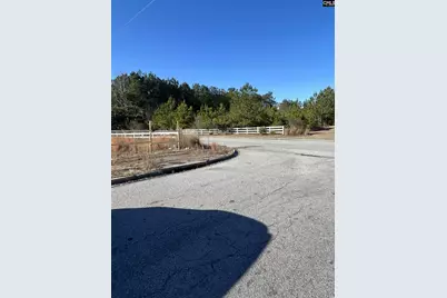 320 Rice Meadow Way, Columbia, SC 29229 - Photo 1