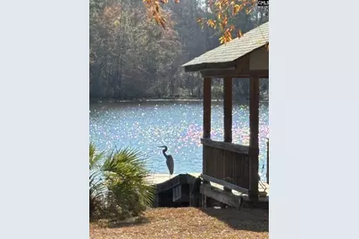 202 Columbia Club Drive E, Blythewood, SC 29016 - Photo 43