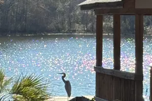 202 Columbia Club Dr E, Blythewood, SC 29016 - Photo 43