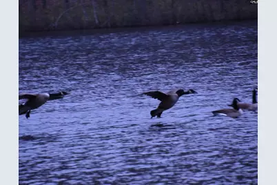 202 Columbia Club Drive E, Blythewood, SC 29016 - Photo 45