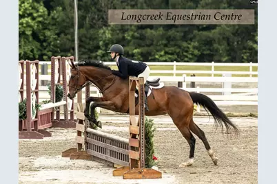 202 Columbia Club Drive E, Blythewood, SC 29016 - Photo 37