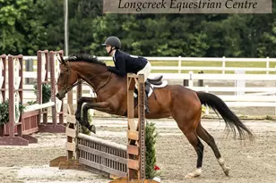 202 Columbia Club Dr E, Blythewood, SC 29016 - Photo 37