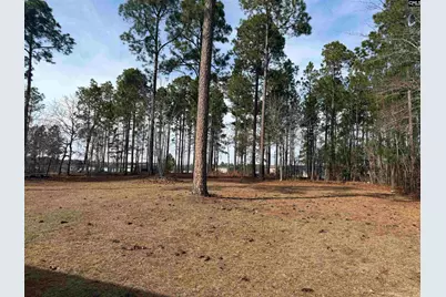 237 Shadow Dale Drive, Gaston, SC 29053 - Photo 3