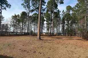 237 Shadow Dale Dr, Gaston, SC 29053 - Photo 3