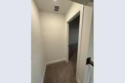 121 Playground Road, Blythewood, SC 29016 - Photo 45