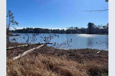 0 George Street #Lot 21, Leesville, SC 29070 - Photo 13