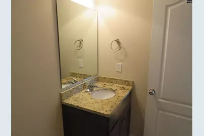 242 Dawsons Park Way, Lexington, SC 29072 - Photo 13