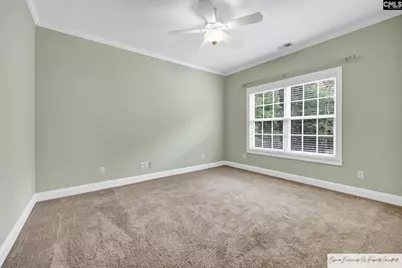 218 Hilton Village Drive, Chapin, SC 29036 - Photo 29
