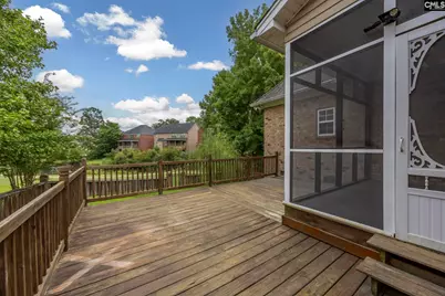 218 Hilton Village Drive, Chapin, SC 29036 - Photo 39
