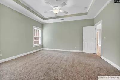 218 Hilton Village Drive, Chapin, SC 29036 - Photo 19