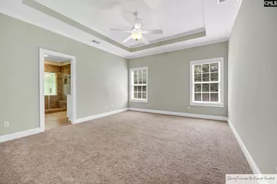 218 Hilton Village Drive, Chapin, SC 29036 - Photo 17