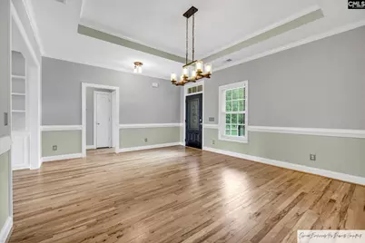 218 Hilton Village Drive, Chapin, SC 29036 - Photo 5