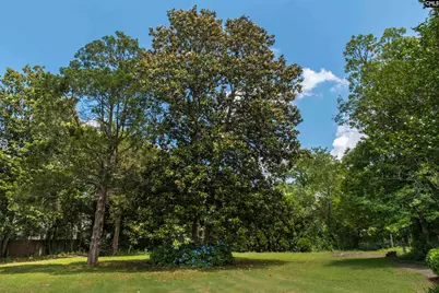 414 Greene Street, Camden, SC 29020 - Photo 49