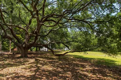 414 Greene Street, Camden, SC 29020 - Photo 3