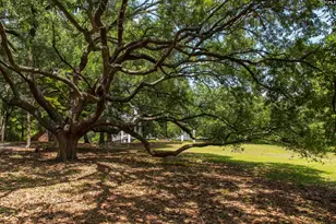 414 Greene St, Camden, SC 29020 - Photo 3