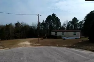 288 Peeler Rd, Gaston, SC 29053 - Photo 9