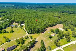 2249 Pepper Rd, Gilbert, SC 29073 - Photo 37