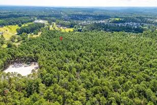 2249 Pepper Rd, Gilbert, SC 29073 - Photo 43