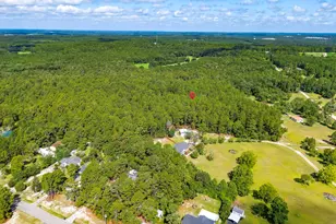 2249 Pepper Rd, Gilbert, SC 29073 - Photo 39