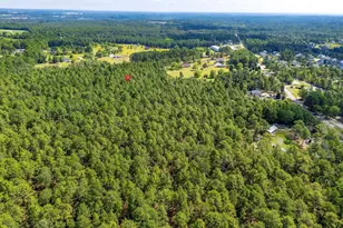 2249 Pepper Rd, Gilbert, SC 29073 - Photo 41