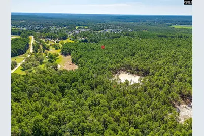 2249 Pepper Road, Gilbert, SC 29073 - Photo 45