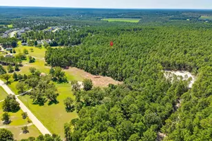 2249 Pepper Rd, Gilbert, SC 29073 - Photo 45