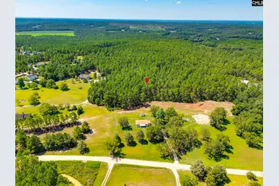 0 Pepper Road, Lexington, SC 29073 - Photo 3