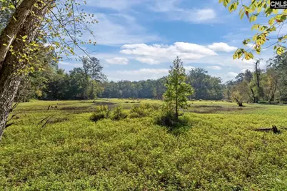 573 Canasta Drive, Gilbert, SC 29054 - Photo 29