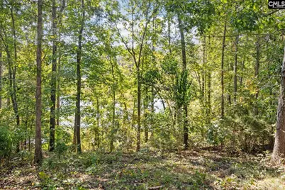 573 Canasta Drive, Gilbert, SC 29054 - Photo 37