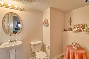 2 Cane Break Ct, Columbia, SC 29229 - Photo 27