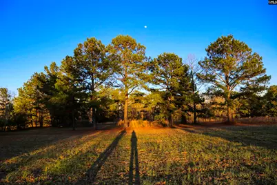 611 Longtown Road, Lugoff, SC 29078 - Photo 25
