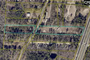 4620 Hwy 321, Gaston, SC 29053 - Photo 1