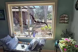 1351 Smyrna Rd, Elgin, SC 29045 - Photo 5