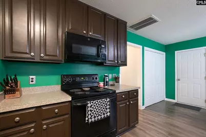 188 Kerry Gibbons Drive, Chapin, SC 29036 - Photo 13