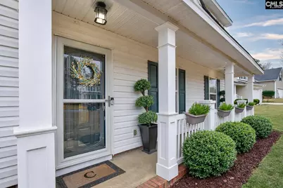 188 Kerry Gibbons Drive, Chapin, SC 29036 - Photo 3