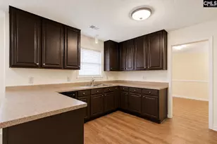 188 Kerry Gibbons Dr, Chapin, SC 29036 - Photo 13