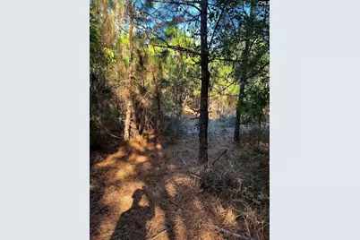 Ppf 12 Payne Pond Road #PPF 12, Westville, SC 29175 - Photo 41