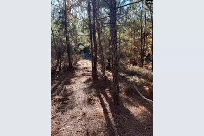 Ppf 12 Payne Pond Road #PPF 12, Westville, SC 29175 - Photo 43