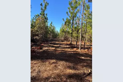 Ppf 12 Payne Pond Road #PPF 12, Westville, SC 29175 - Photo 47