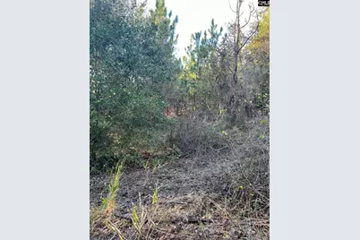 Ppf 12 Payne Pond Road #PPF 12, Westville, SC 29175 - Photo 9