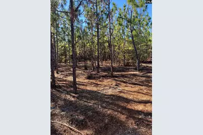 Ppf 12 Payne Pond Road #PPF 12, Westville, SC 29175 - Photo 51