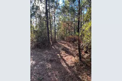 Ppf 12 Payne Pond Road #PPF 12, Westville, SC 29175 - Photo 35